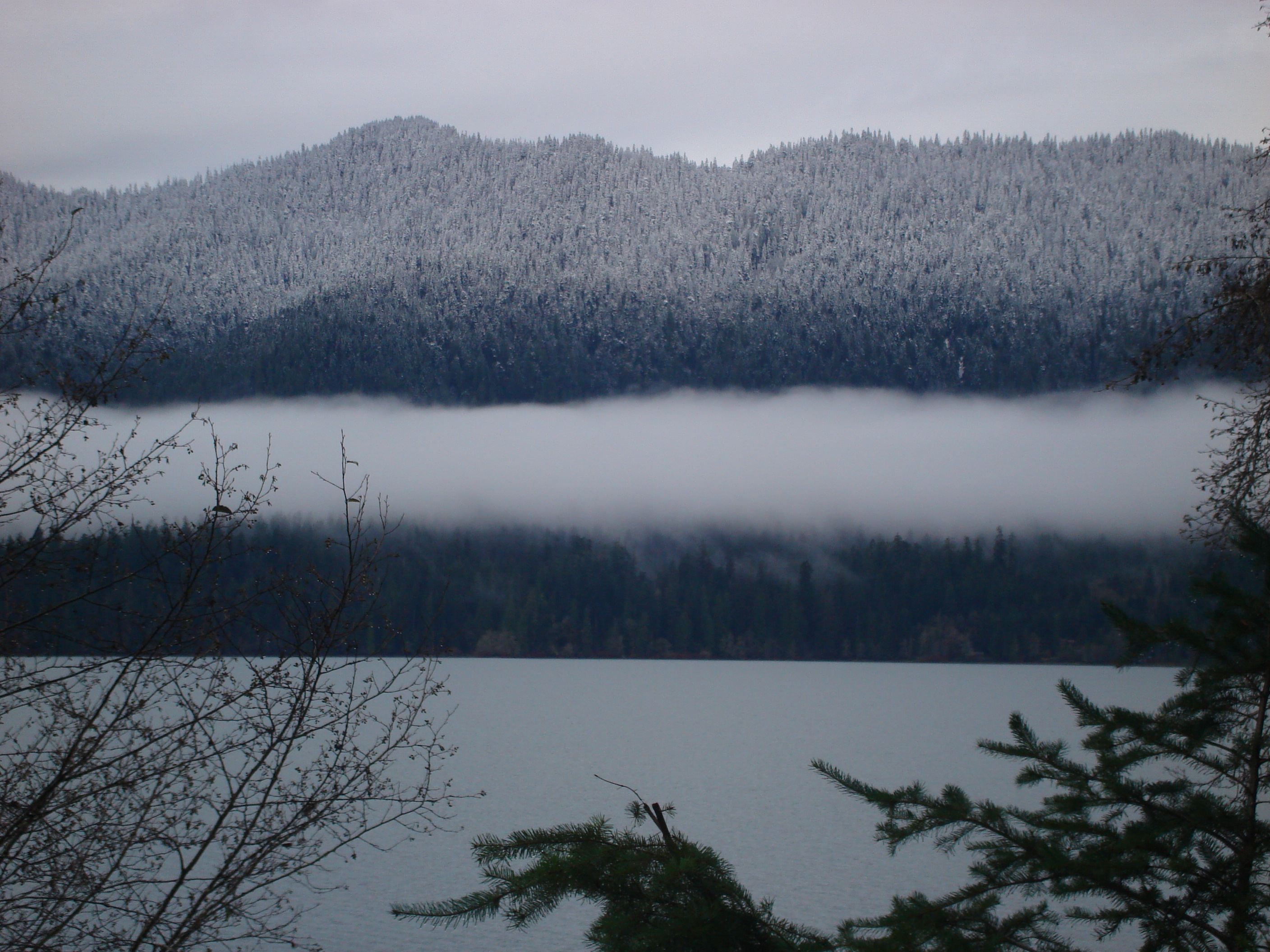 View of the Lake, Nov. 2010